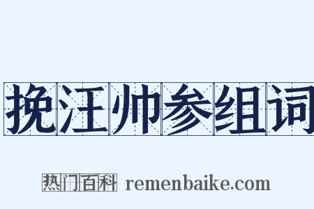 挽汪帅参组词是什么意思的图片